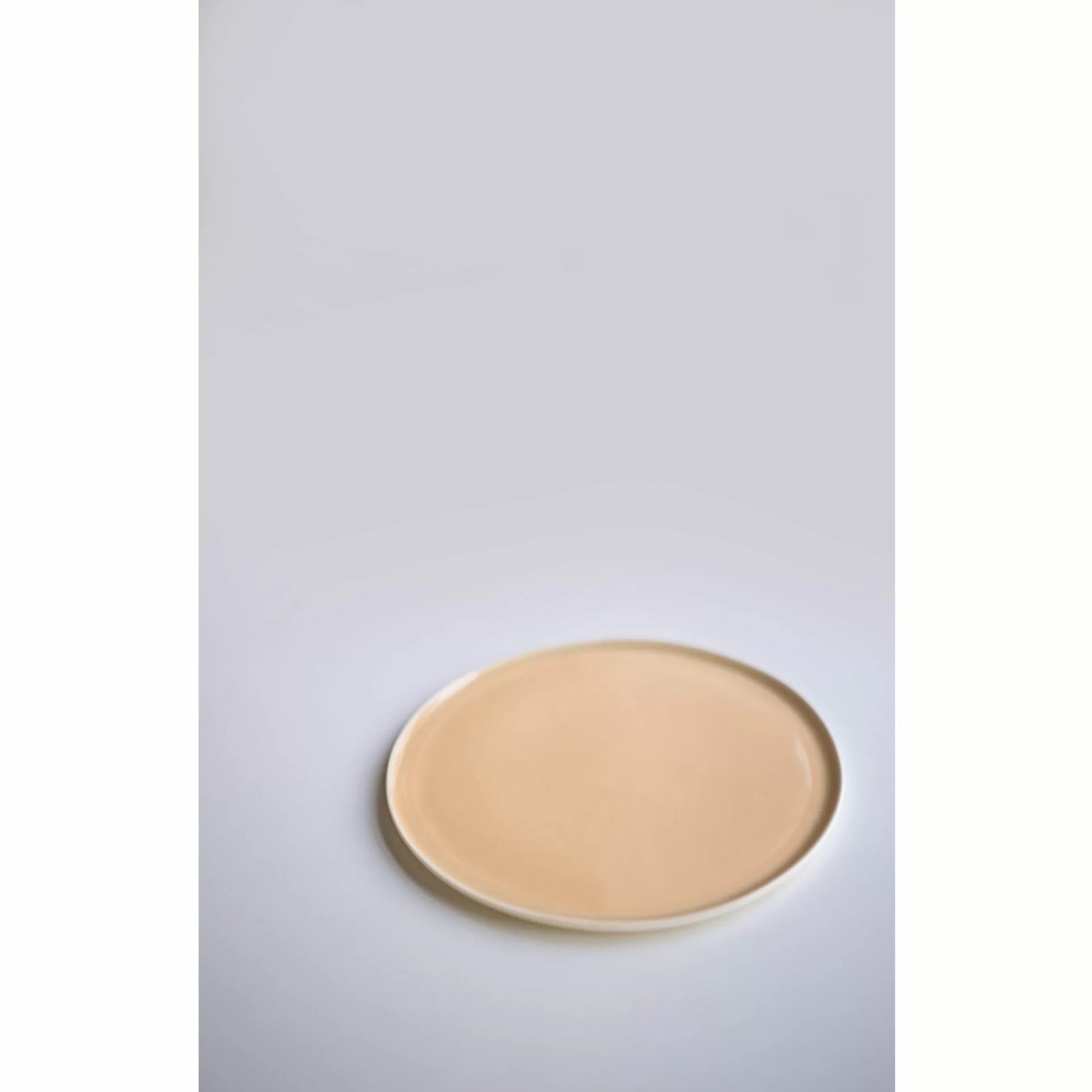 Flat plate 18cm salmon Eter - Verlo