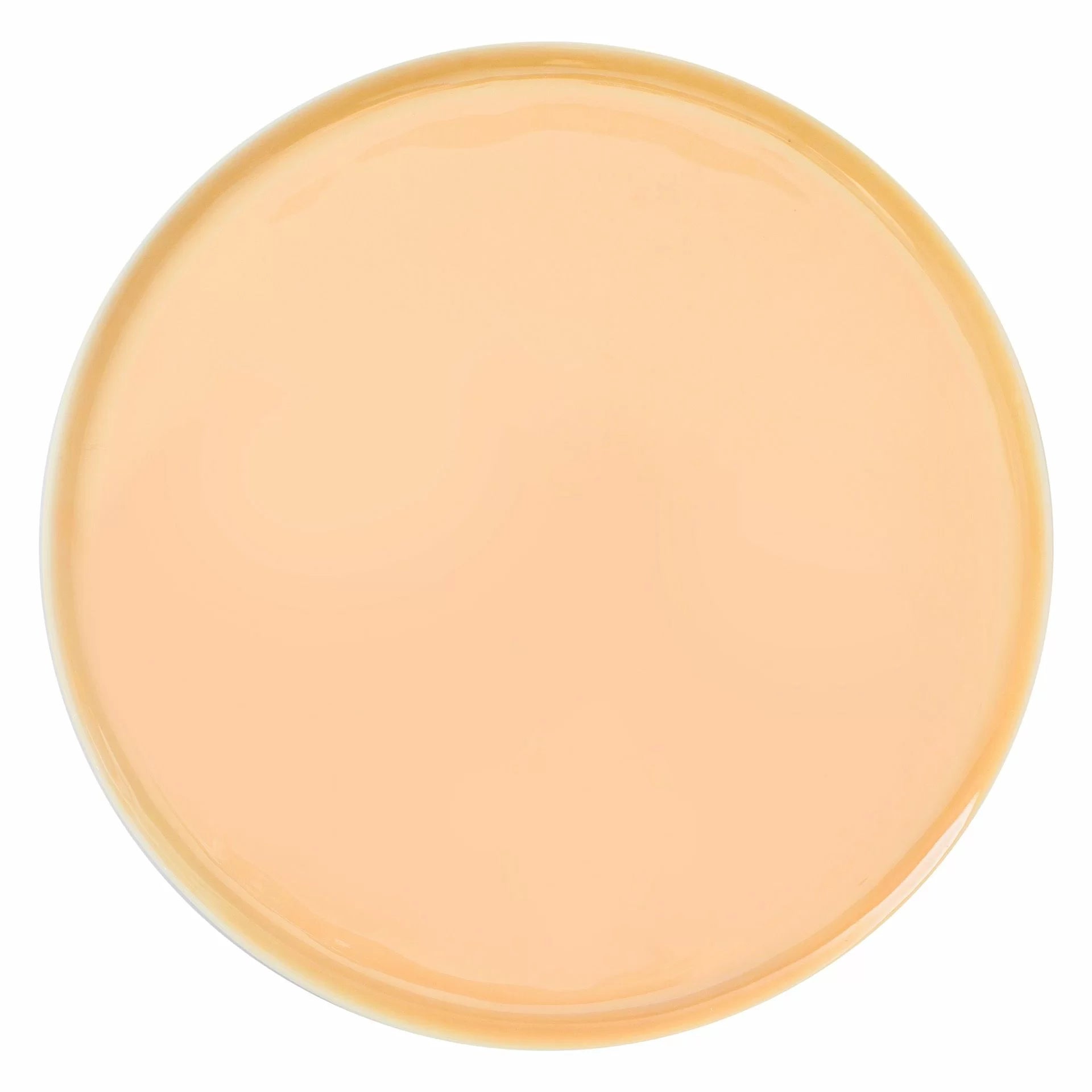 Flat plate 18cm salmon Eter - Verlo